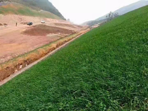 高速護坡椰絲毯